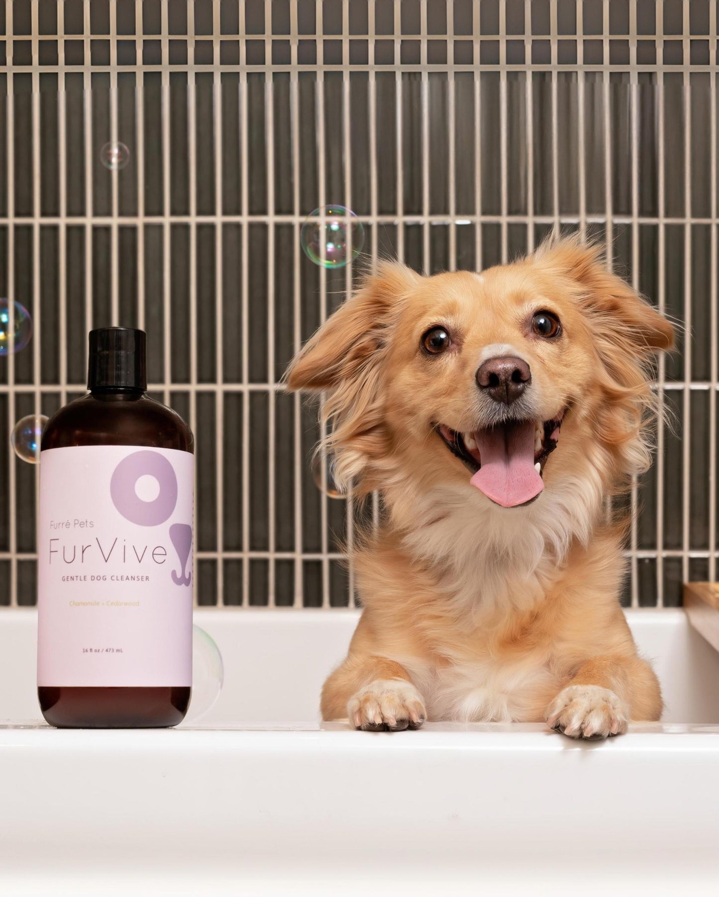 FurVive Gentle Dog Cleanser 16oz