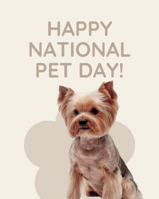 Happy National Pet Day