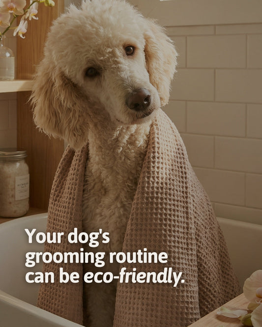 Your dog's grooming routine can be eco-friendly.  