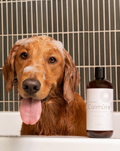 Calmûre Gentle Dog Cleanser 16oz