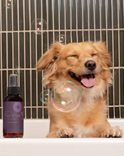 FurVive Eau de Pawfum 4oz